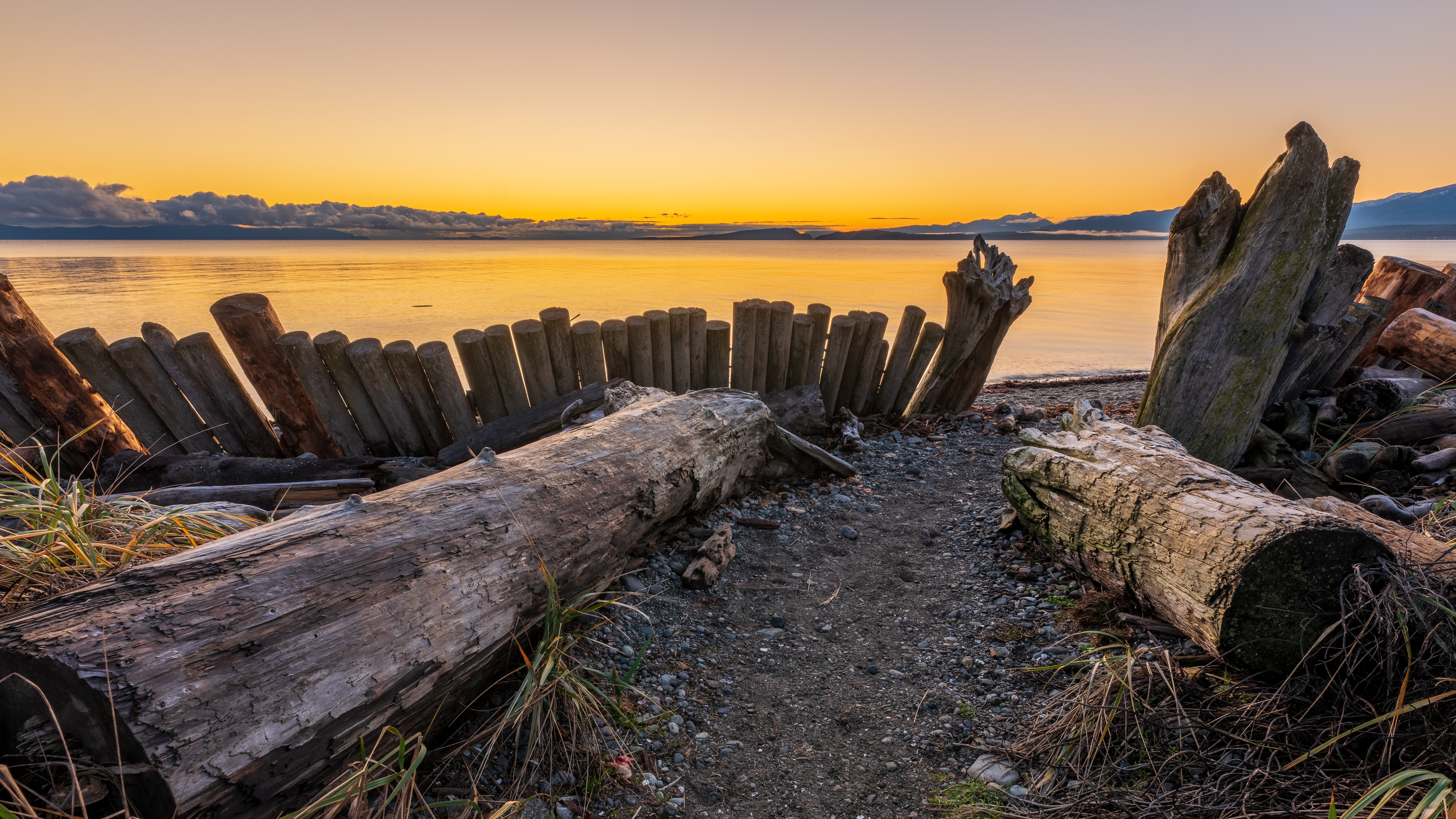 brown-wood-logs-on-sand-during-sunset-3989873