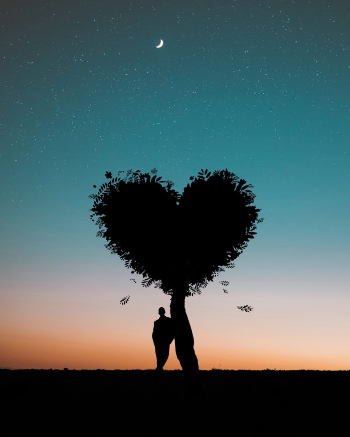 silhouette-photo-of-man-leaning-on-heart-shaped-tree-744667
